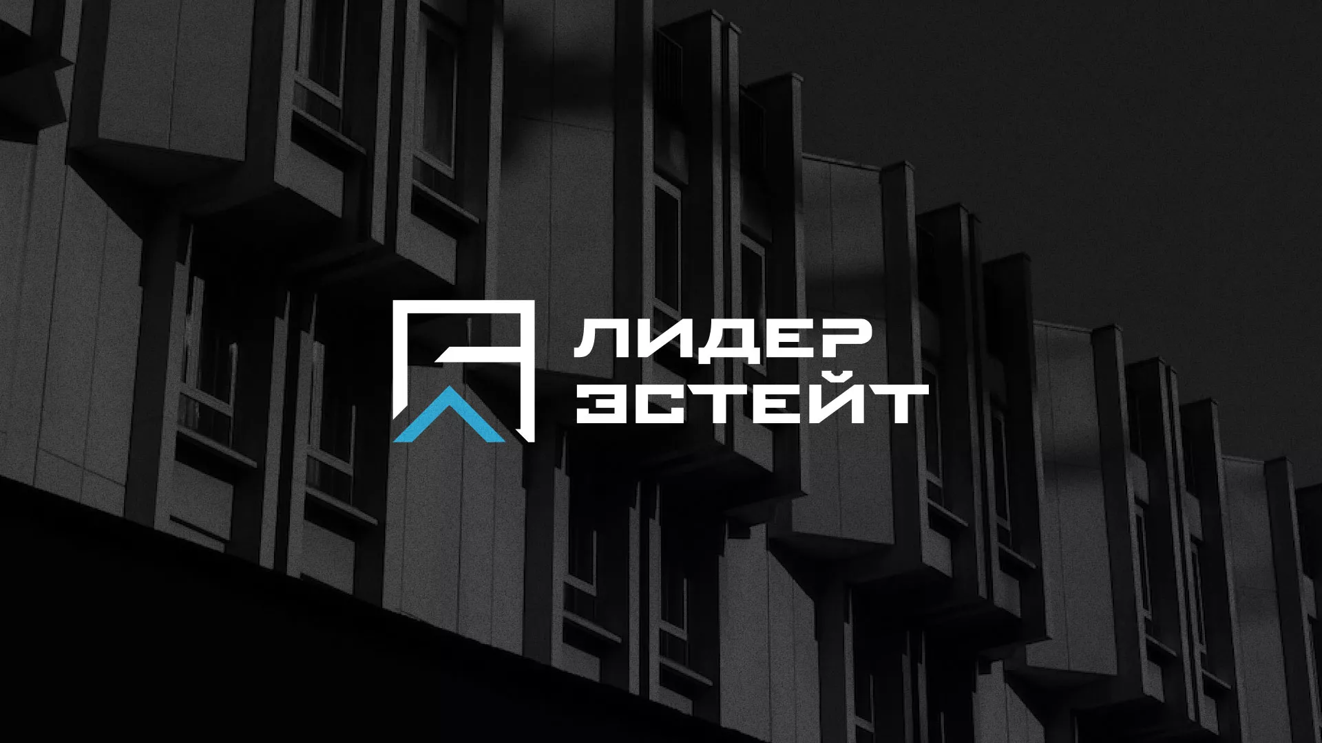 Разработка логотипа агентства недвижимости «Лидер Эстейт» в Элисте